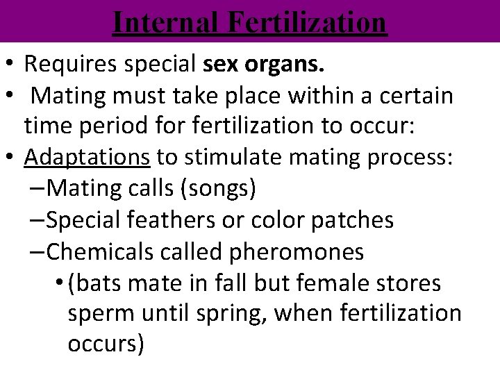 Internal Fertilization • Requires special sex organs. • Mating must take place within a