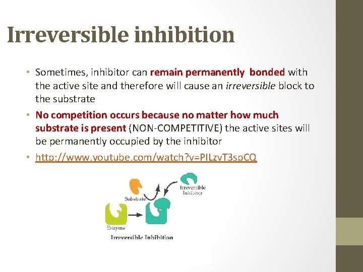 Irreversible inhibition • Sometimes, inhibitor can remain permanently bonded with the active site and