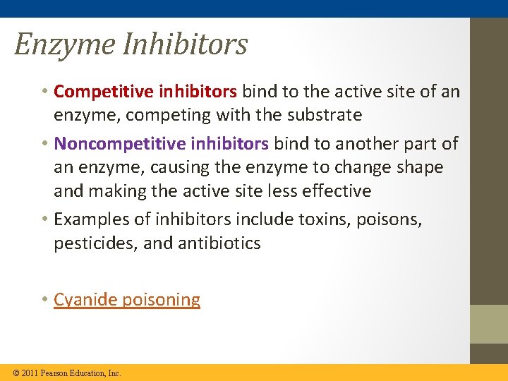 Enzyme Inhibitors • Competitive inhibitors bind to the active site of an enzyme, competing
