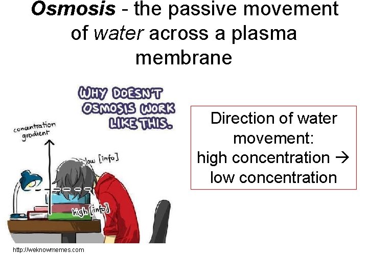 Osmosis - the passive movement of water across a plasma membrane Direction of water