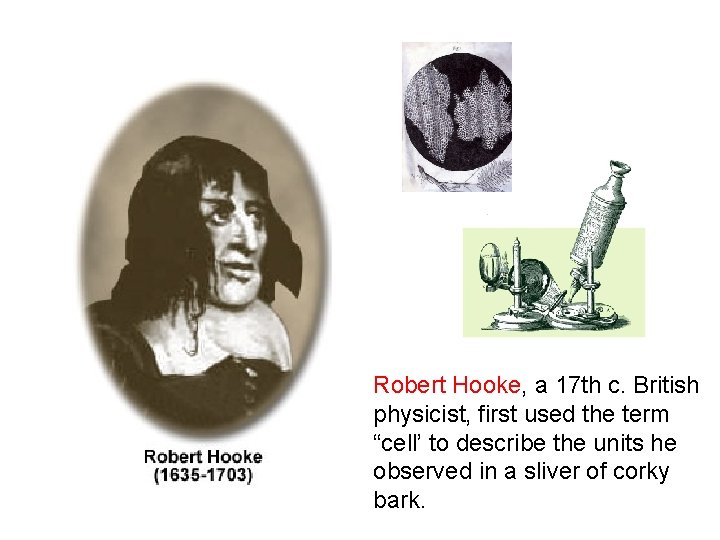 Robert Hooke, a 17 th c. British physicist, first used the term “cell’ to