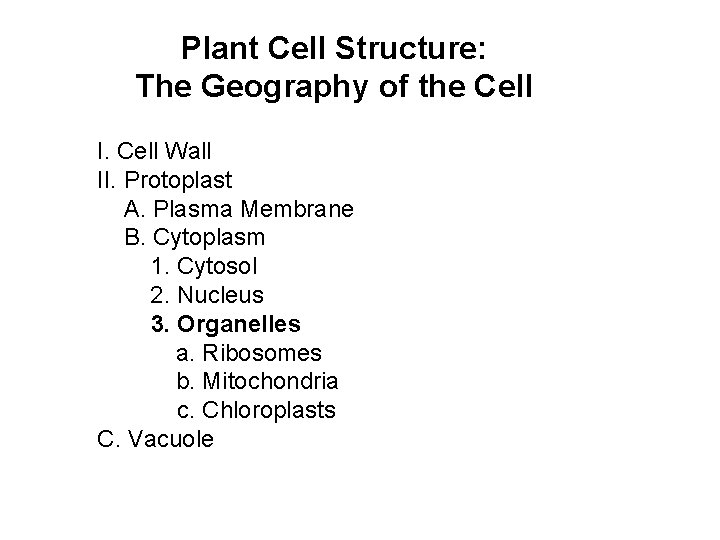 Plant Cell Structure: The Geography of the Cell I. Cell Wall II. Protoplast A.
