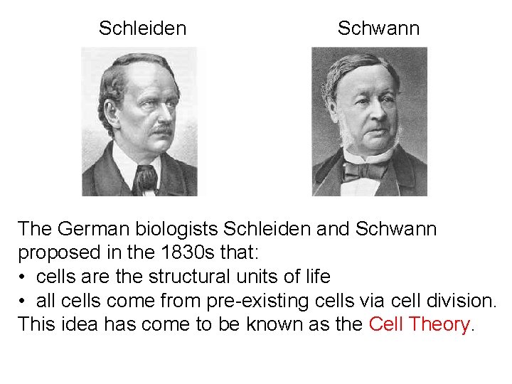 Schleiden Virchow Schwann Weismann The German biologists Schleiden and Schwann proposed in the 1830