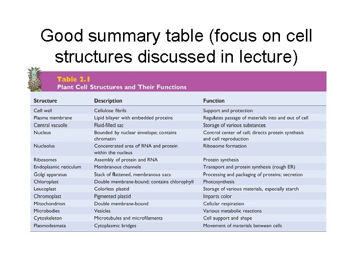 Good summary table (focus on cell structures discussed in lecture) 