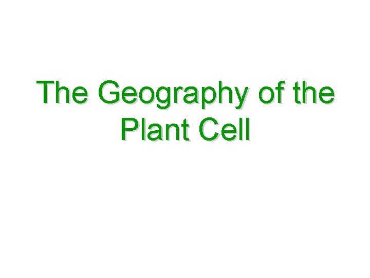 The Geography of the Plant Cell 
