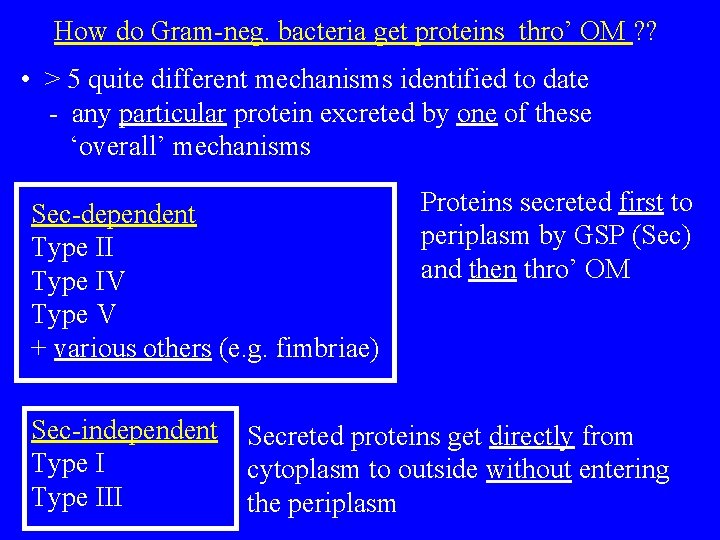 How do Gram-neg. bacteria get proteins thro’ OM ? ? • > 5 quite