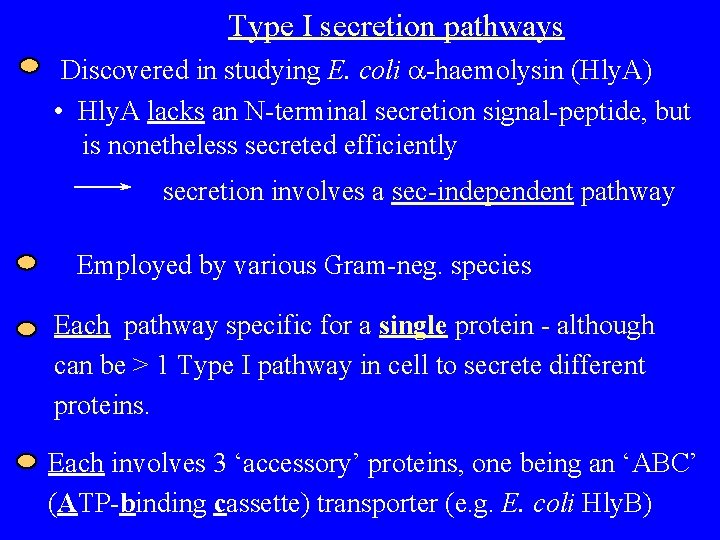 Type I secretion pathways Discovered in studying E. coli a-haemolysin (Hly. A) • Hly.