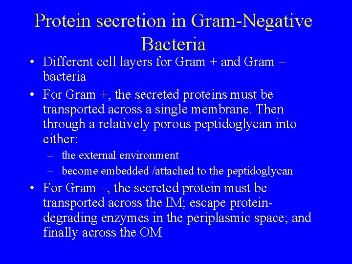 Protein secretion in Gram-Negative Bacteria • Different cell layers for Gram + and Gram