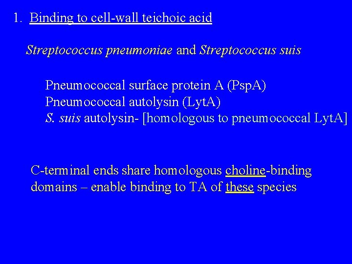 1. Binding to cell-wall teichoic acid Streptococcus pneumoniae and Streptococcus suis Pneumococcal surface protein
