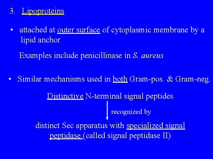 3. Lipoproteins • attached at outer surface of cytoplasmic membrane by a lipid anchor