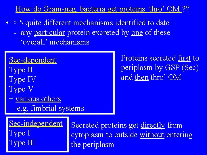 How do Gram-neg. bacteria get proteins thro’ OM ? ? • > 5 quite