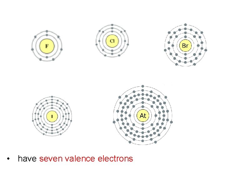 • have seven valence electrons   • have seven valence electrons