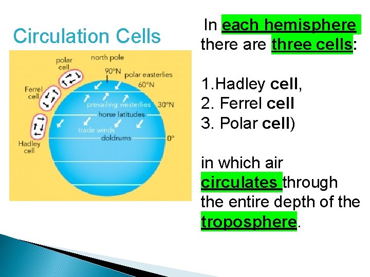 Circulation Cells In each hemisphere there are three cells: 1. Hadley cell, 2. Ferrel