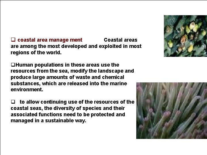 q coastal area manage ment Coastal areas are among the most developed and exploited