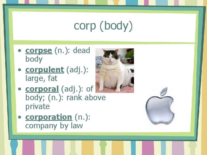 corp (body) • corpse (n. ): dead body • corpulent (adj. ): large, fat