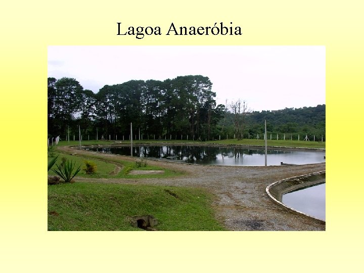 Lagoa Anaeróbia 