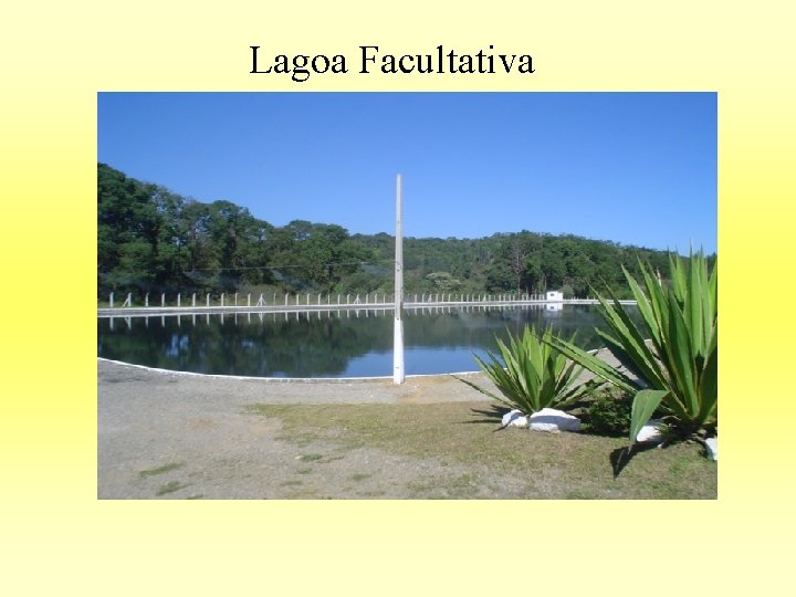 Lagoa Facultativa 