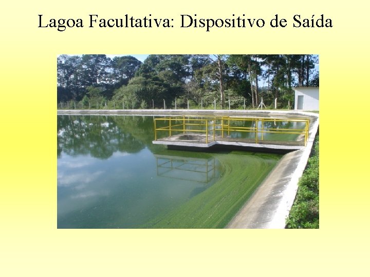 Lagoa Facultativa: Dispositivo de Saída 