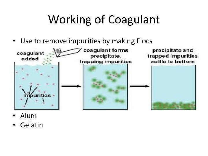 Working of Coagulant • Use to remove impurities by making Flocs • Alum •