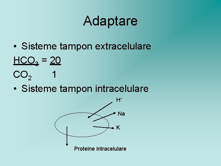 Adaptare • Sisteme tampon extracelulare HCO 3 = 20 CO 2 1 • Sisteme