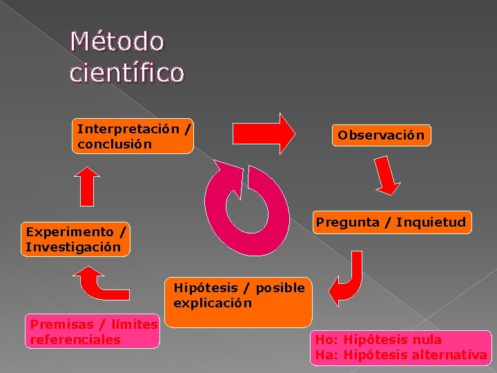 Método científico Interpretación / conclusión Observación Pregunta / Inquietud Experimento / Investigación Hipótesis /