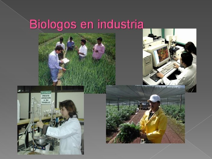 Biologos en industria 