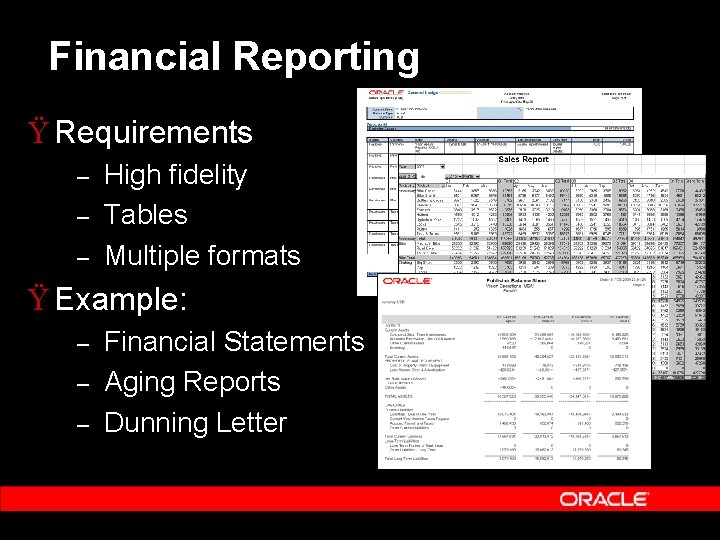 Financial Reporting Ÿ Requirements – – – High fidelity Tables Multiple formats Ÿ Example: