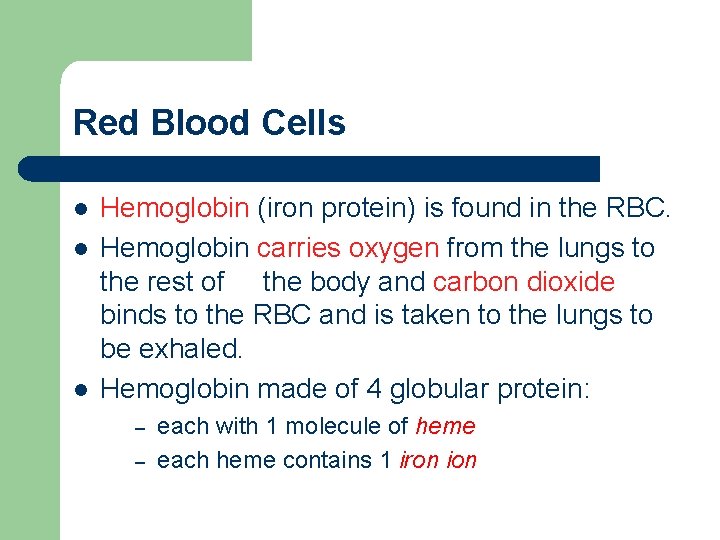 Red Blood Cells l l l Hemoglobin (iron protein) is found in the RBC.