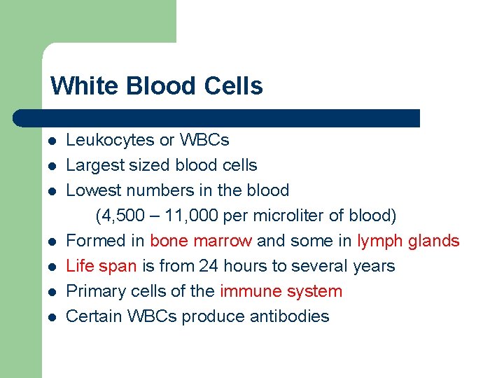 White Blood Cells l l l l Leukocytes or WBCs Largest sized blood cells
