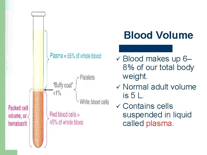 Blood Volume Blood makes up 6– 8% of our total body weight. ü Normal