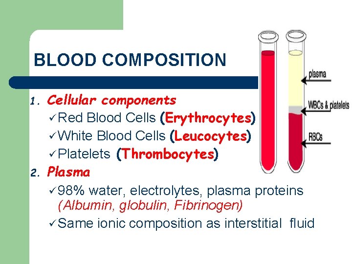 BLOOD COMPOSITION 1. 2. Cellular components ü Red Blood Cells (Erythrocytes) ü White Blood