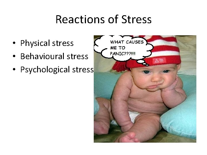 Reactions of Stress • Physical stress • Behavioural stress • Psychological stress 
