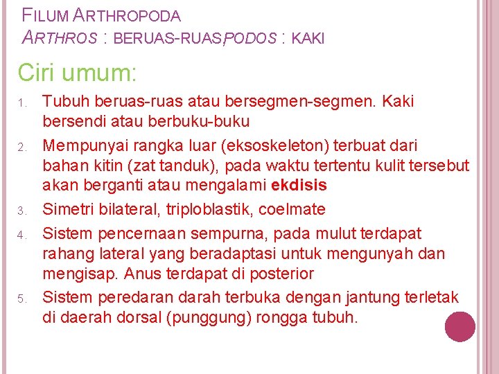 FILUM ARTHROPODA ARTHROS : BERUAS-RUAS, PODOS : KAKI Ciri umum: 1. 2. 3. 4.