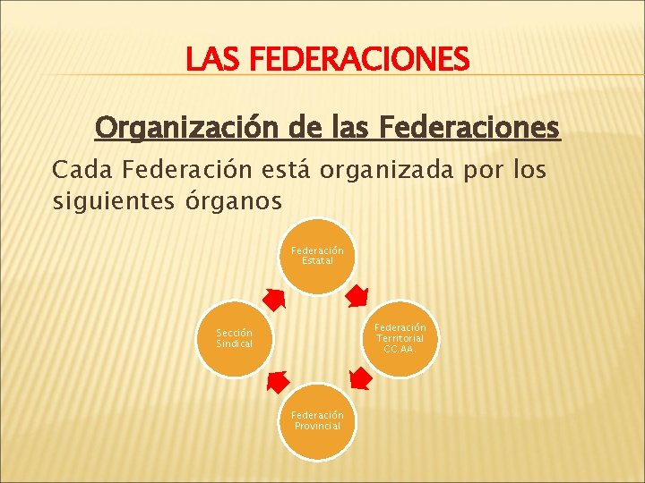 LAS FEDERACIONES Organización de las Federaciones Cada Federación está organizada por los siguientes órganos