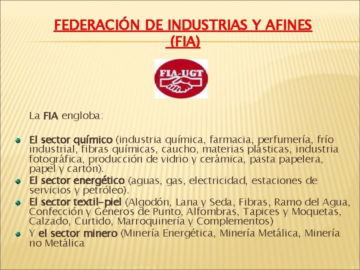 FEDERACIÓN DE INDUSTRIAS Y AFINES (FIA) La FIA engloba: El sector químico (industria química,