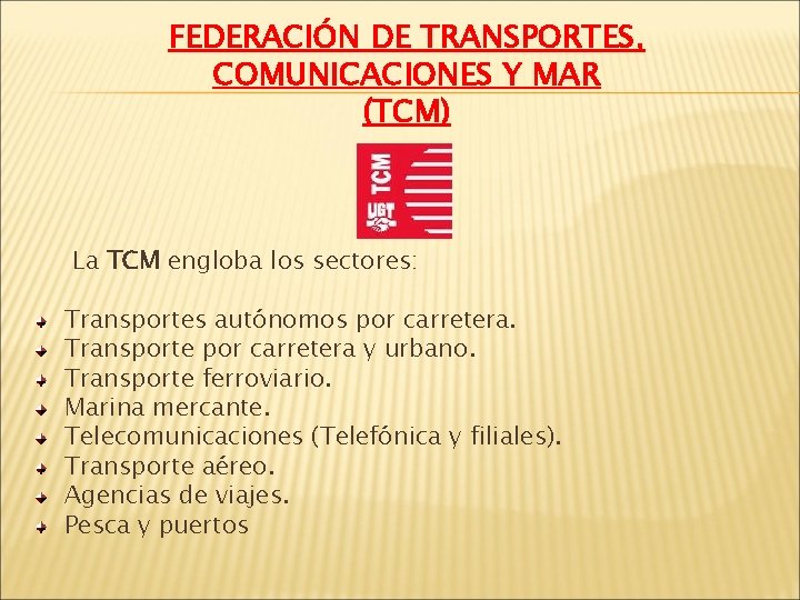 FEDERACIÓN DE TRANSPORTES, COMUNICACIONES Y MAR (TCM) La TCM engloba los sectores: Transportes autónomos