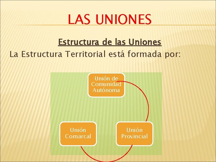 LAS UNIONES Estructura de las Uniones La Estructura Territorial está formada por: Unión de