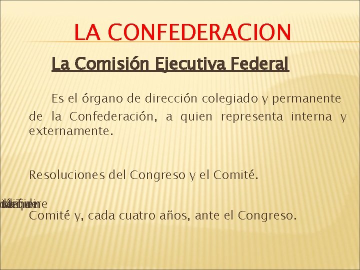 LA CONFEDERACION La Comisión Ejecutiva Federal Es el órgano de dirección colegiado y permanente
