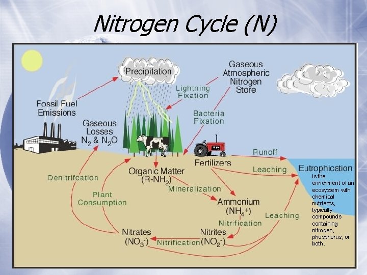 Nitrogen Cycle (N) is the enrichment of an ecosystem with chemical nutrients, typically compounds