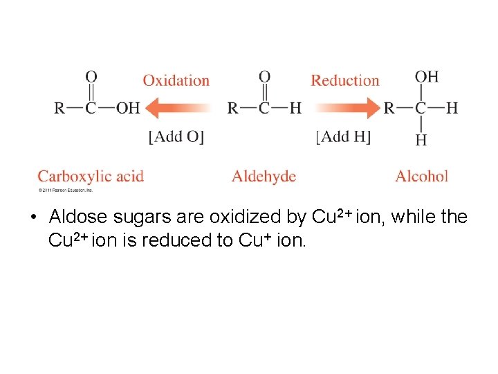  • Aldose sugars are oxidized by Cu 2+ ion, while the Cu 2+