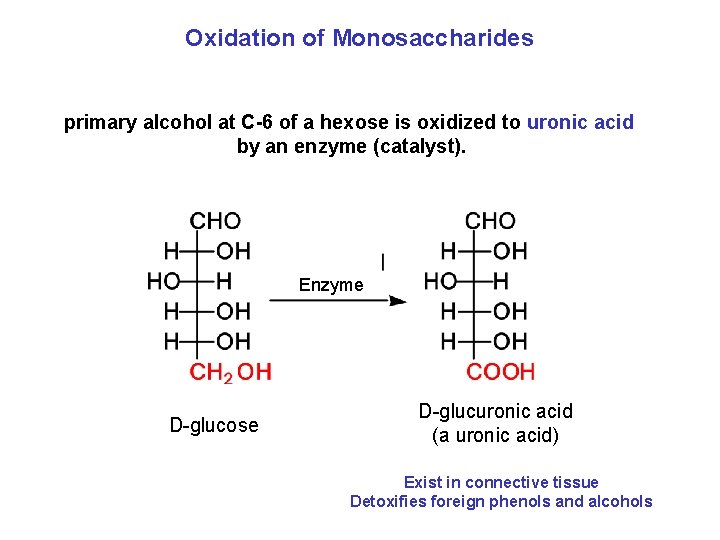 Oxidation of Monosaccharides primary alcohol at C-6 of a hexose is oxidized to uronic