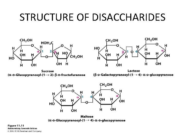 STRUCTURE OF DISACCHARIDES 