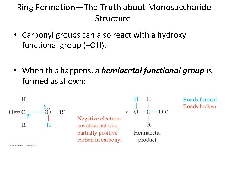 Ring Formation—The Truth about Monosaccharide Structure • Carbonyl groups can also react with a