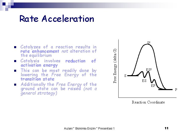 Rate Acceleration n Catalyzes of a reaction results in rate enhancement not alteration of