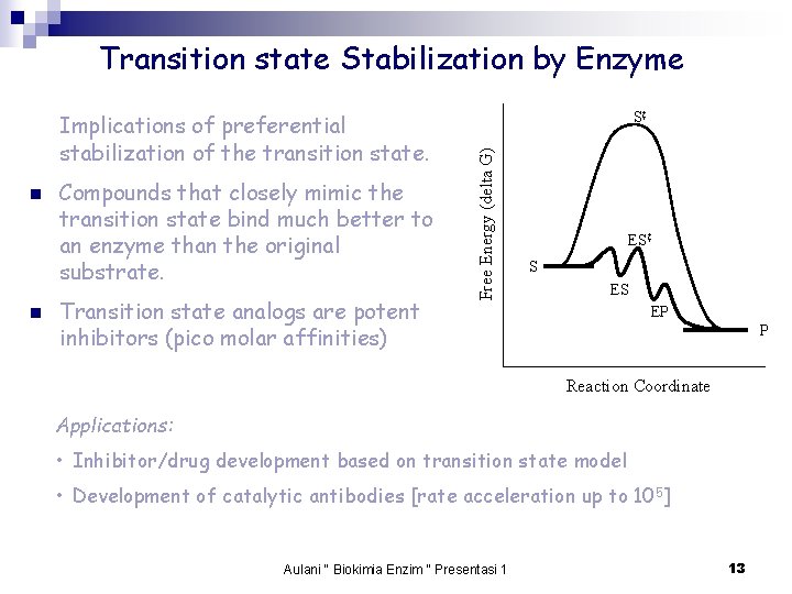 Transition state Stabilization by Enzyme n n Compounds that closely mimic the transition state