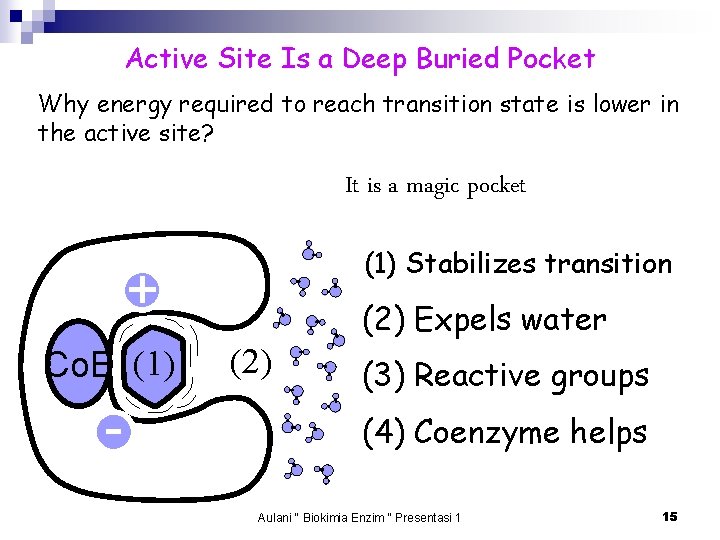 Active Site Is a Deep Buried Pocket Why energy required to reach transition state