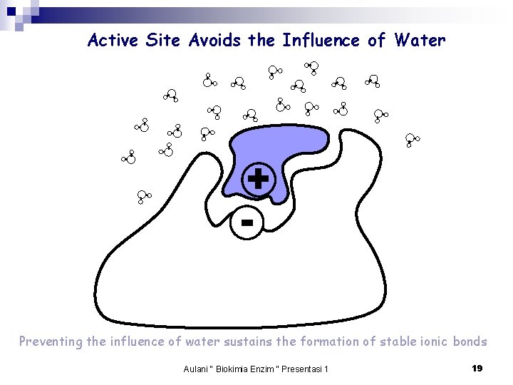 Active Site Avoids the Influence of Water + Preventing the influence of water sustains