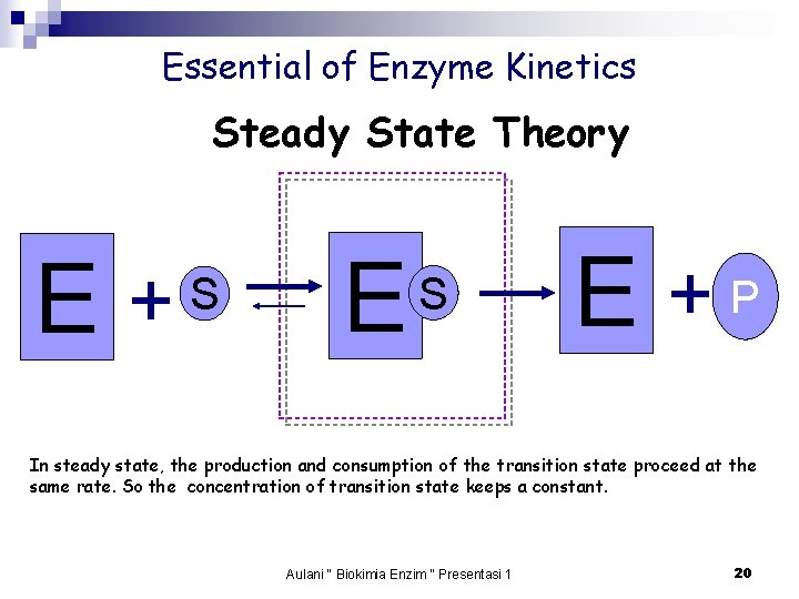 Essential of Enzyme Kinetics Steady State Theory E + S E +P In steady