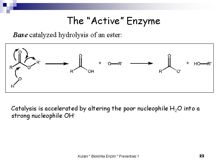 The “Active” Enzyme Base catalyzed hydrolysis of an ester: Catalysis is accelerated by altering
