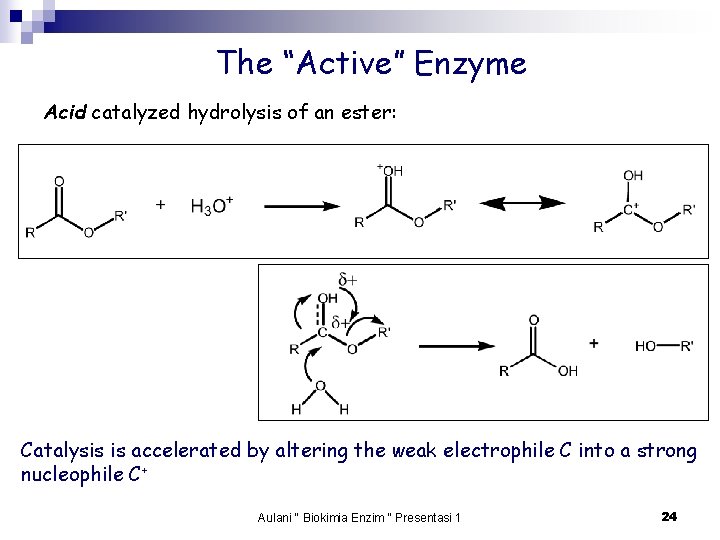 The “Active” Enzyme Acid catalyzed hydrolysis of an ester: Catalysis is accelerated by altering